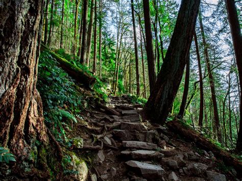 Discover the hidden wildlife and flora on these local hikes